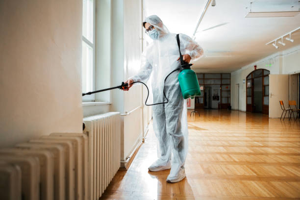 Best Pest Exclusion Services  in Shenandoah, LA